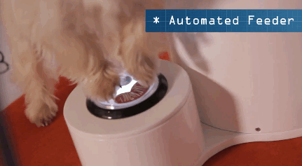 Mar-06-2015-1328.gif