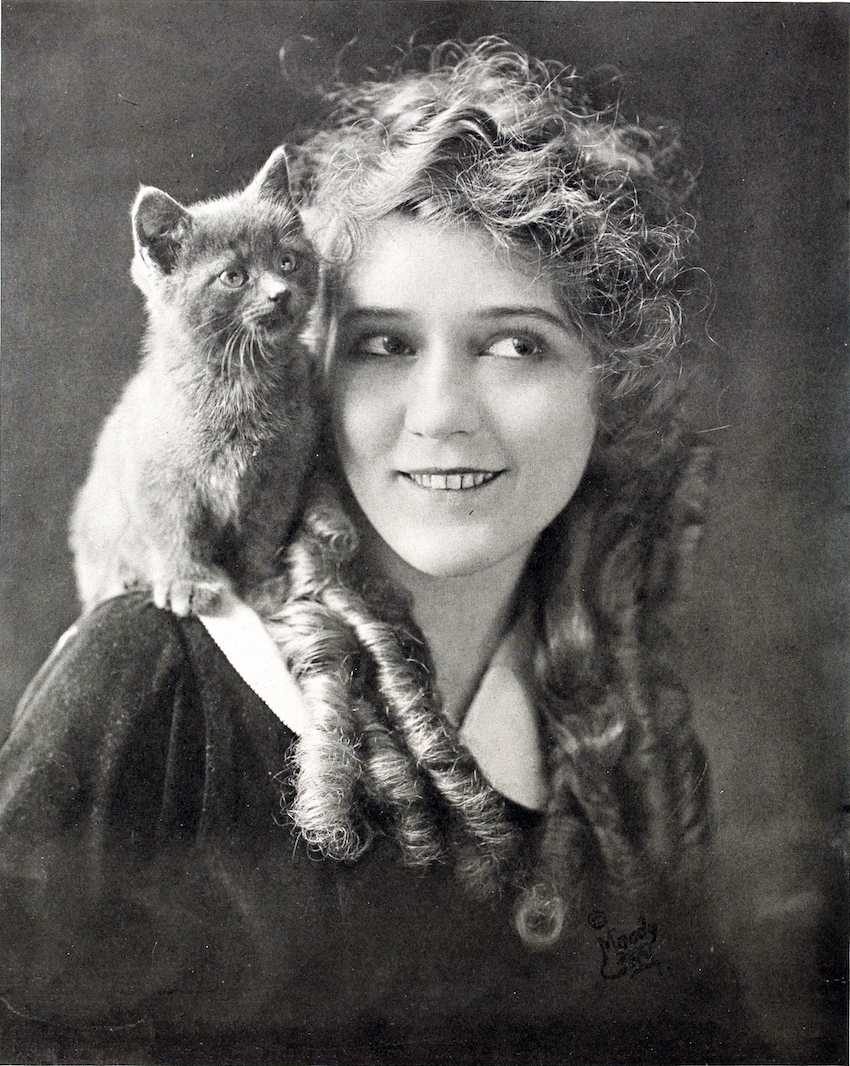 Mary_Pickford_1916.jpg