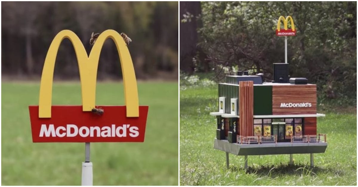 McDonald's For Bees
