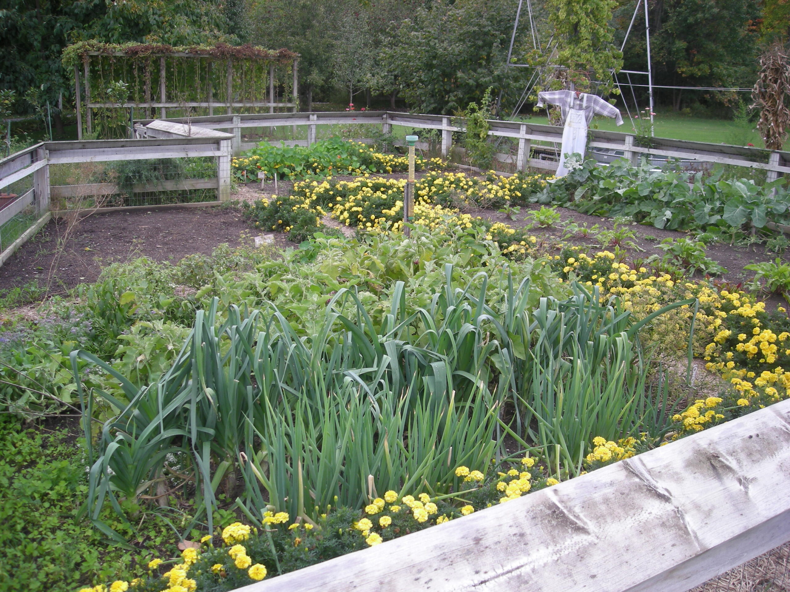 Meijer_Gardens_October_2014_30_Michigans_Farm_Garden.jpg