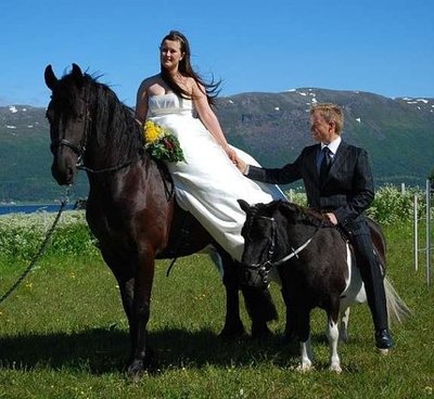 Mini-Pony-10.jpg