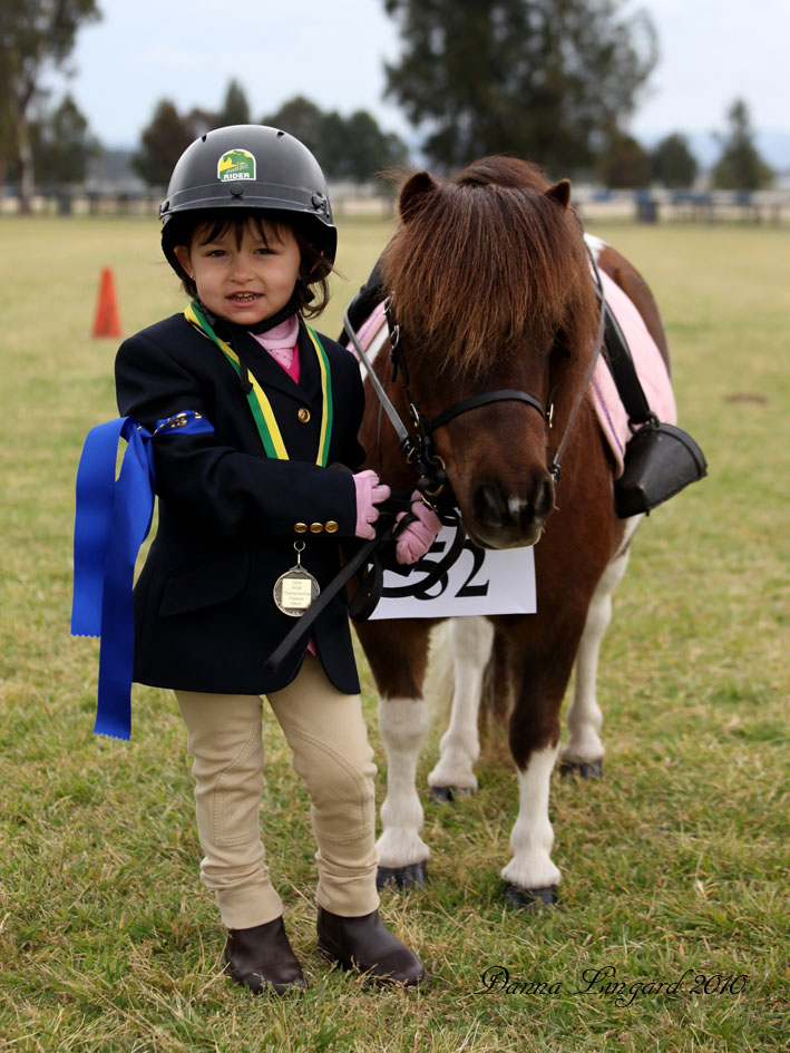 Mini-Pony-12.jpg