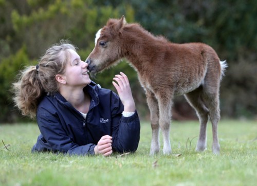 Mini-Pony-13.jpg