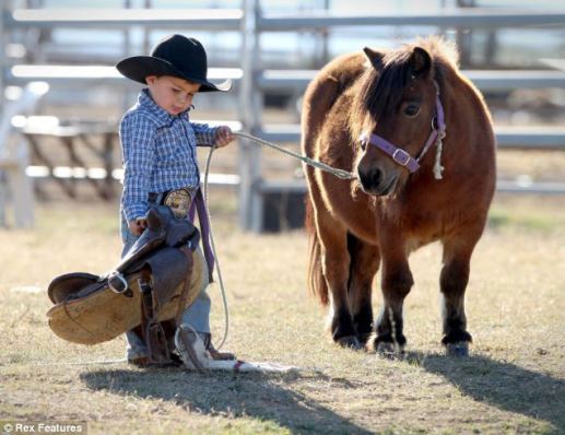 Mini-Pony-22.jpg