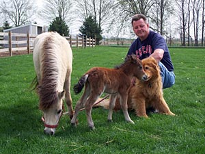 Mini-Pony-23.jpg