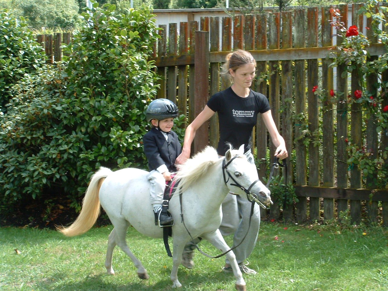 Mini-Pony-3.jpg