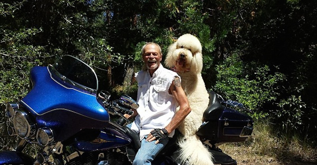 Moki-dog-motorcycle