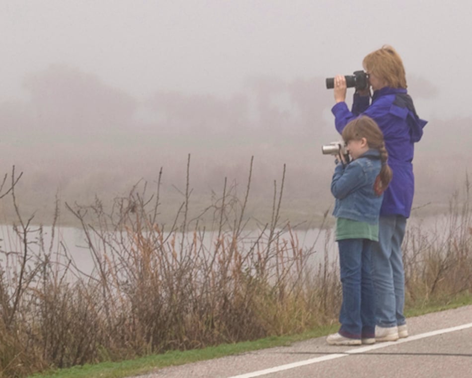 Mom_And_Daughter_By_Carole_Robertson.jpg Mom_And_Daughter_By_Carole_Robertson.jpg