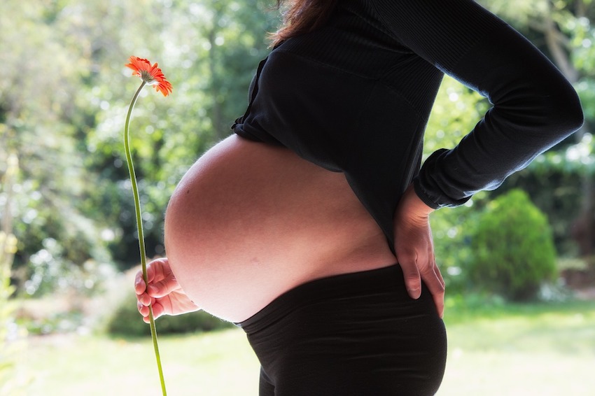 Mother Flowers Pregnant Woman Baby Pregnancy Belly