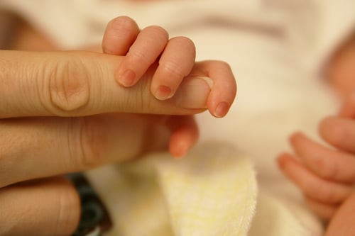 Mother_Infant_Hands.jpg