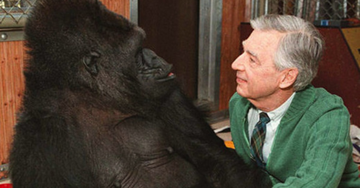 Mr.-Rogers-and-Koko