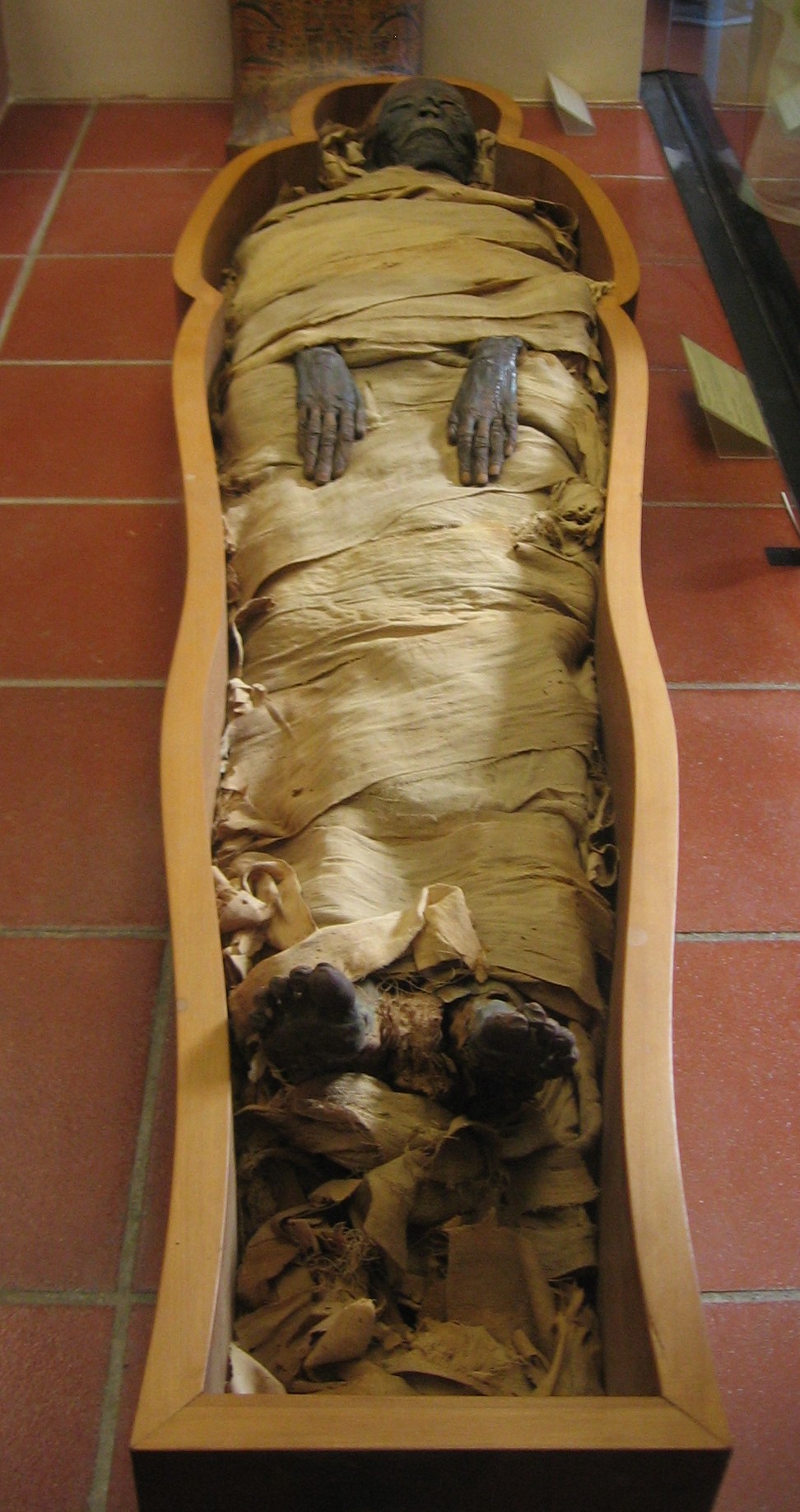 Mummy_in_Vatican_Museums.jpg