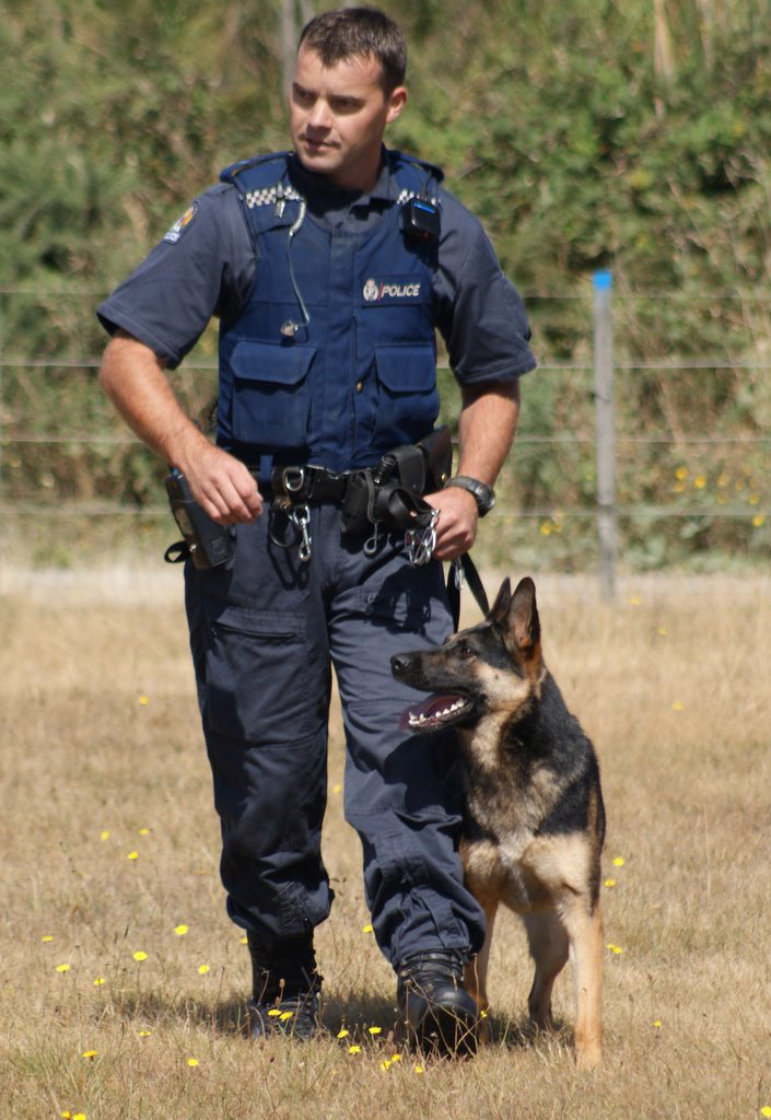 NZ_Police_Dog.jpg