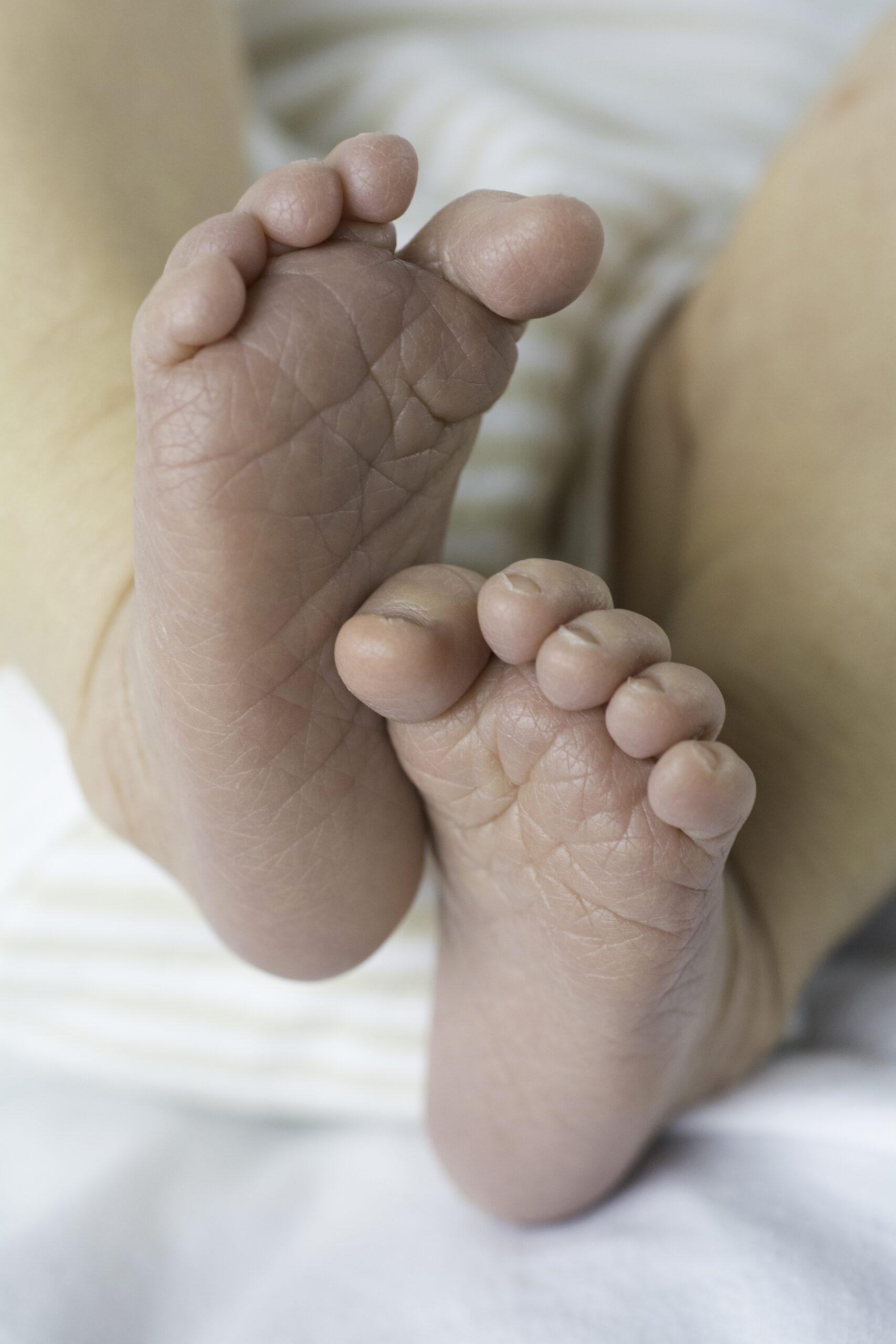 Newborn-Baby-Feet1.jpg