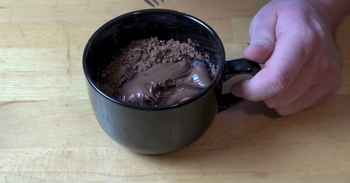 Nutella Mug Cake