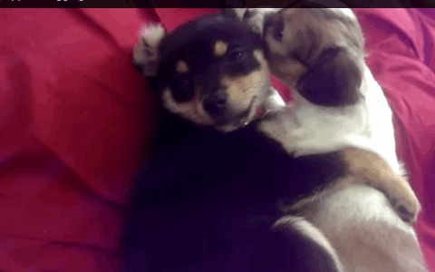 Oct-01-2014-1454.gif
