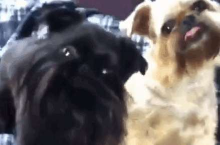 Oct-02-2014-1136.gif