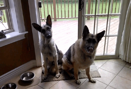 Oct-02-2014-1234.gif