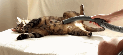 Oct-02-2014-1247.gif