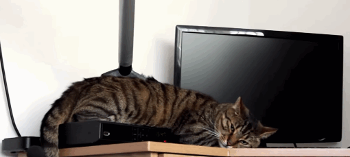 Oct-02-2014-1249.gif