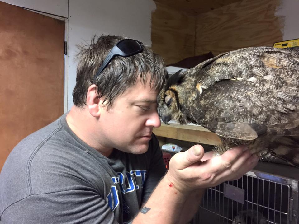 Owl-Rescue-4.jpg