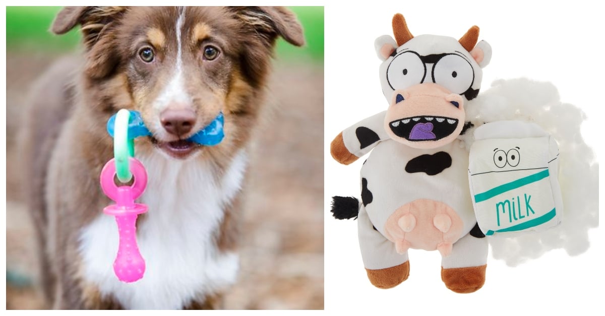 PET TOYS FEATURE