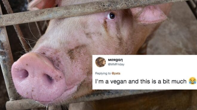 PETA anti-animal language
