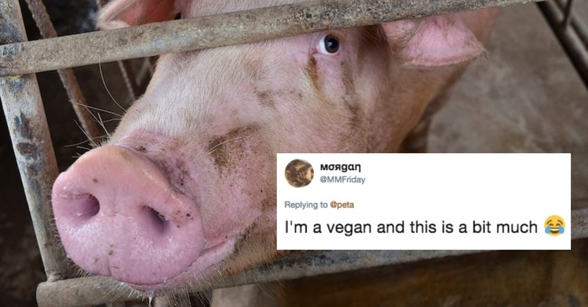 PETA anti-animal language