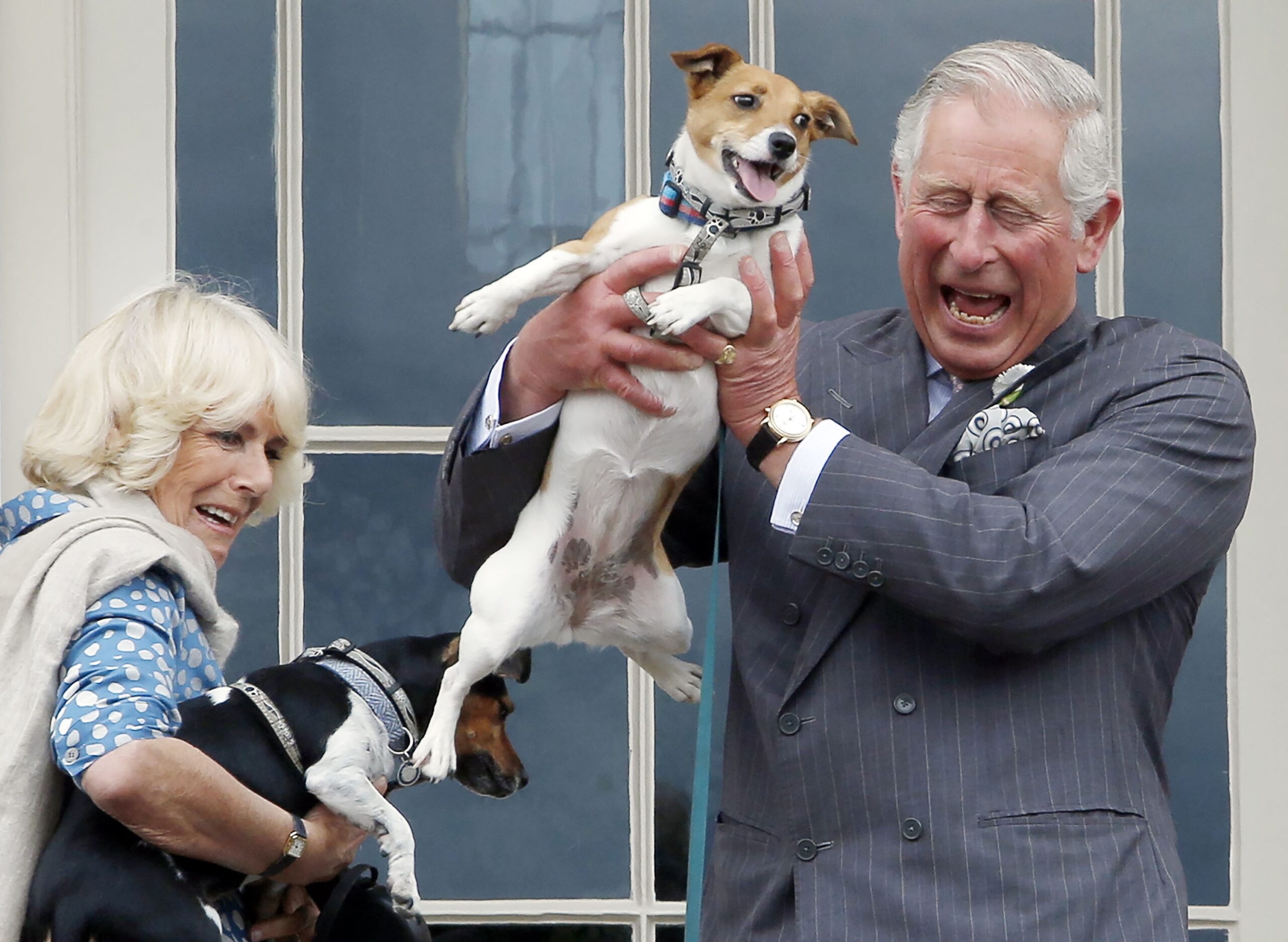 PS-battle-Prince-Charles-with-Bluebell-one-of-Camillas-dogs-Imgur.jpg