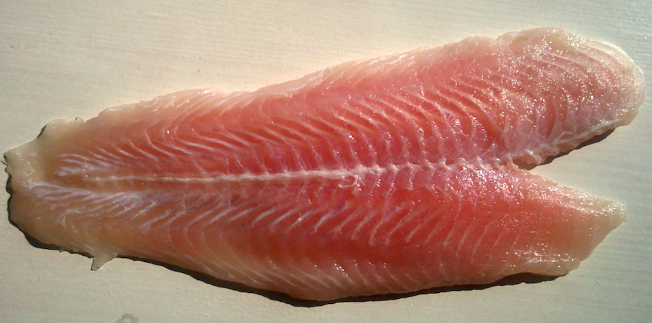 Pangasius_meat.jpg