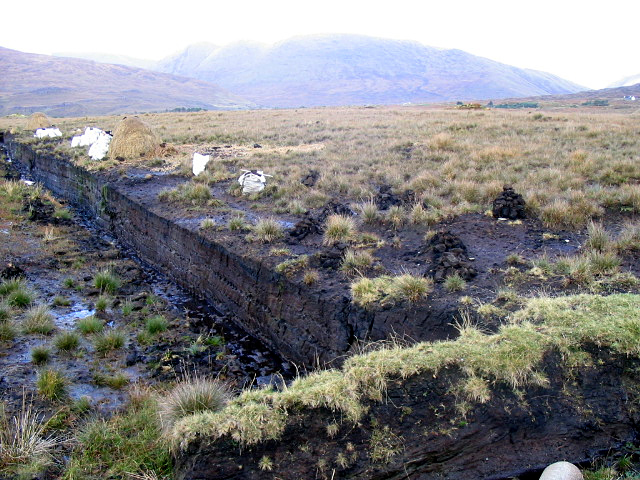 Peat-bog-Ireland.jpg