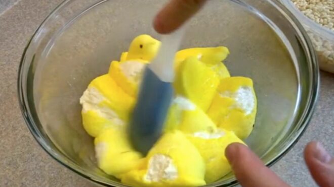 Peeps Treats Surprise 1