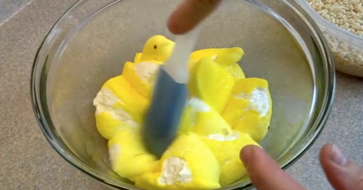 Peeps Treats Surprise 1