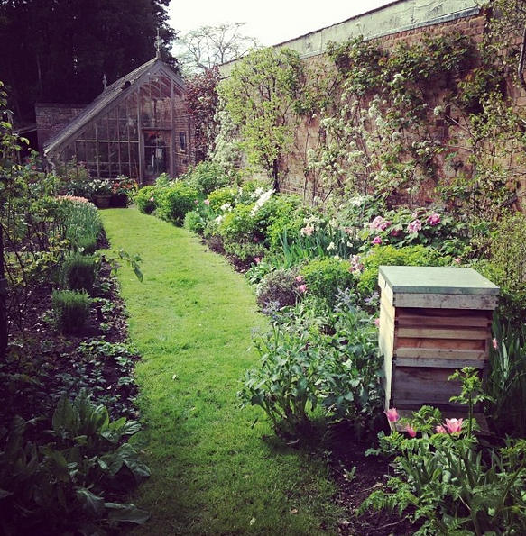Petersham-House-kitchen-garden.png