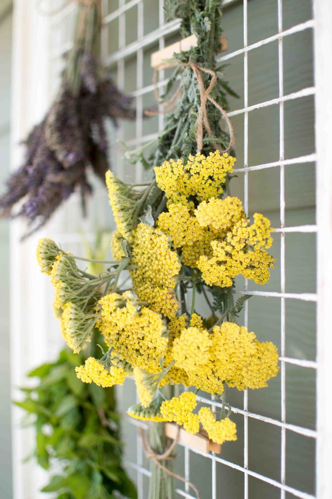 Picture-Frame-Herb-Flower-Drying-Rack-3.jpg