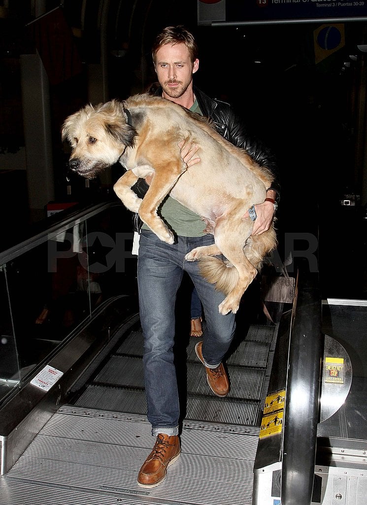 Pictures-Ryan-Gosling-Dog.jpg