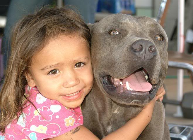 Pitbull-And-Little-Girl.jpg