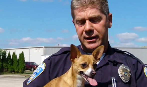 Policeman-adopted-dog-after-owner-tried-to-kill-her-by-by-breaking-her-neck-608870.jpg