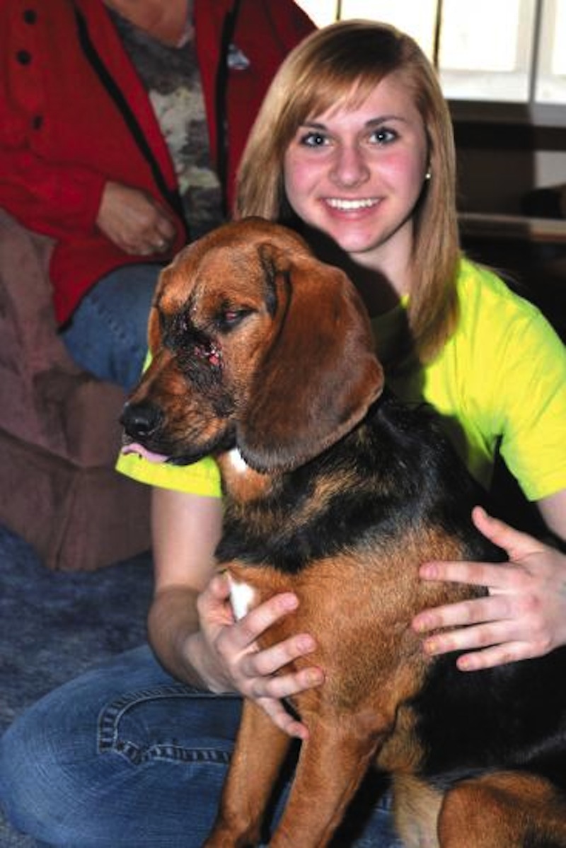 Poor.dog520.color_.jpg