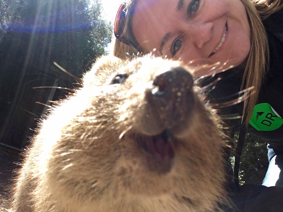 Quokka_selfie.jpg