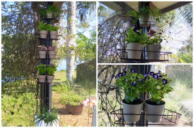 Recycled-Garden-Shower-Caddy-Plant-Rack.jpg