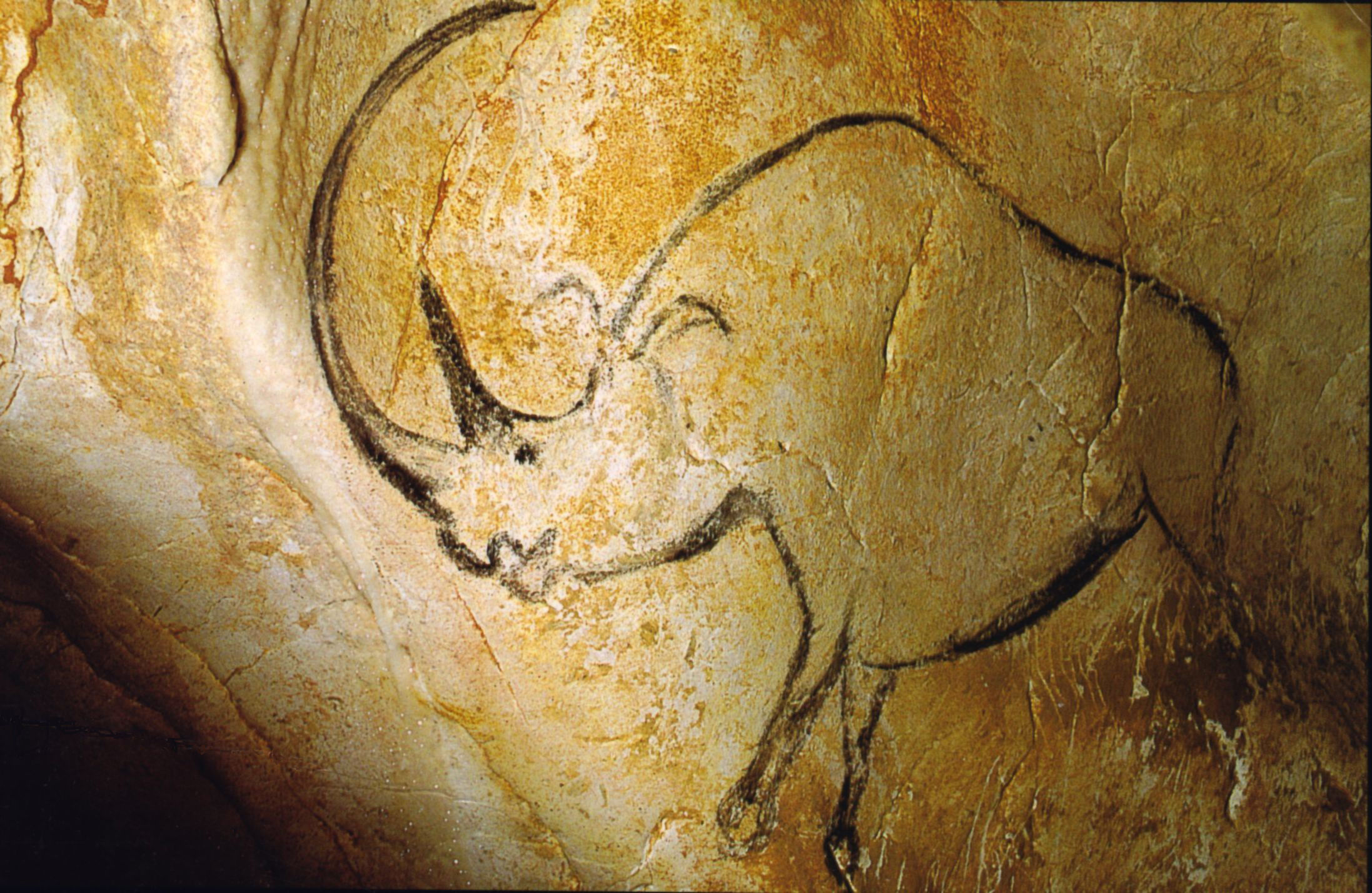 Rhinoc_ros_grotte_Chauvet.jpg