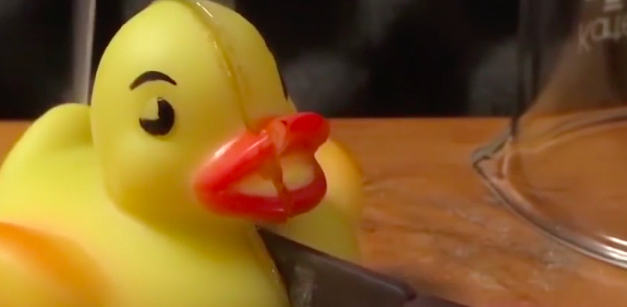 Rubber Duck Beauty