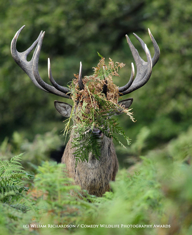 Anyone asks you havent seen me! Anyone asks you havent seen me!