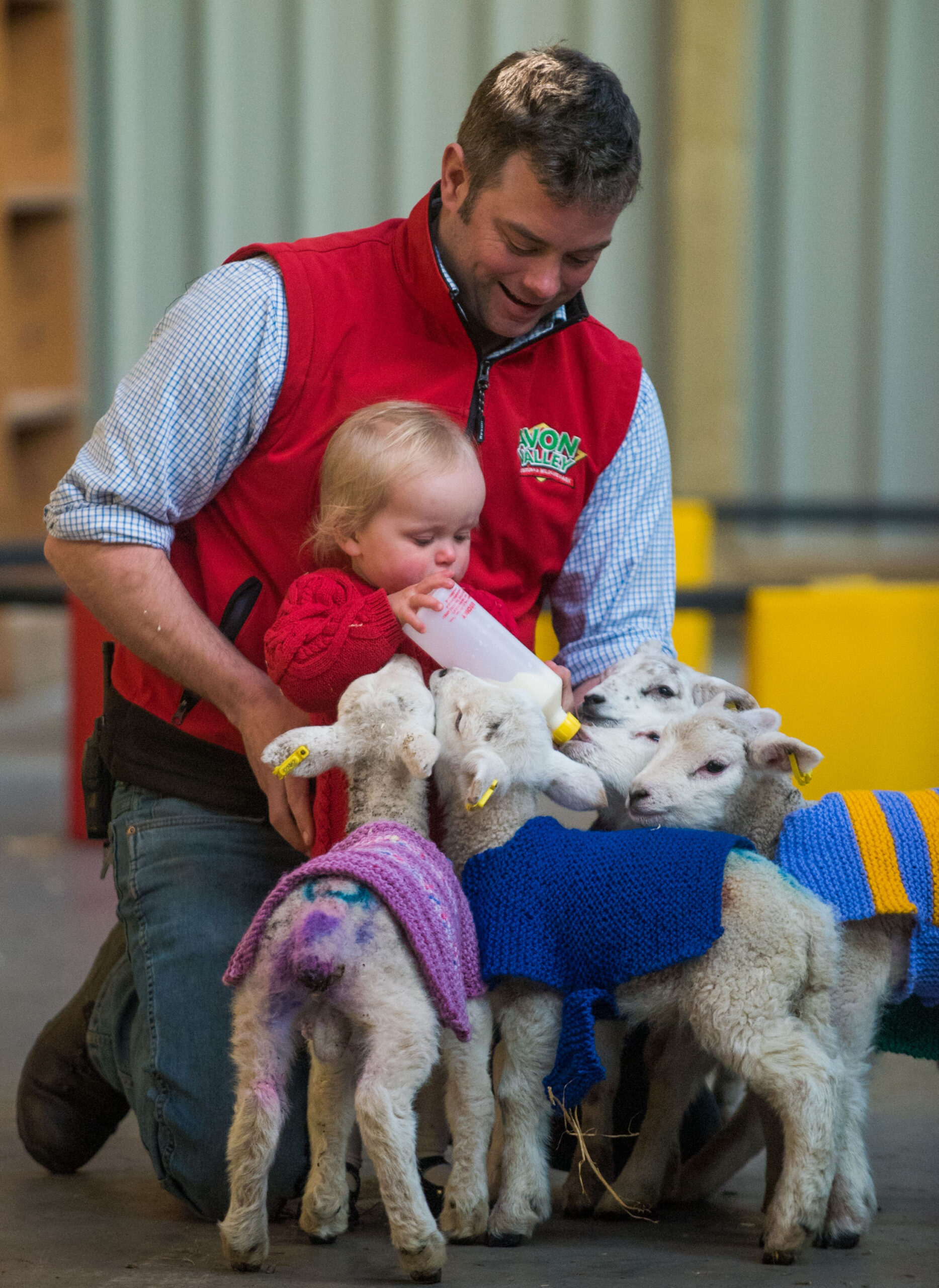 SWNS_WOOLEY_JUMPERS_08.jpg