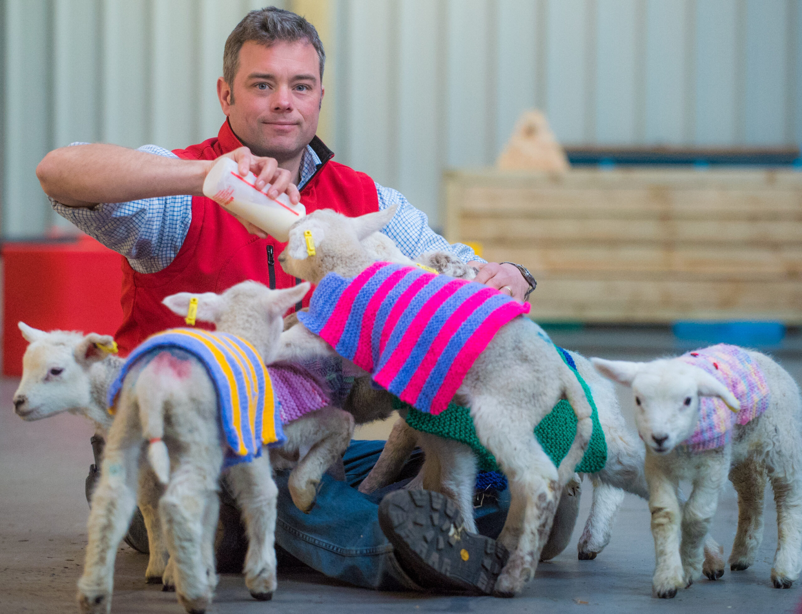 SWNS_WOOLEY_JUMPERS_10.jpg