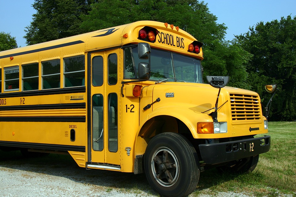 School Bus Bus Yellow Transportation Vehicle