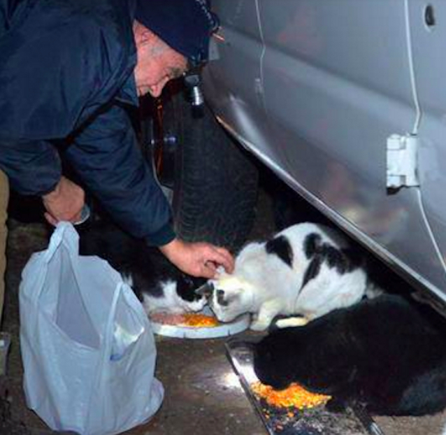 Scrap-Metal-Worker-Feeds-Cats-6.jpg