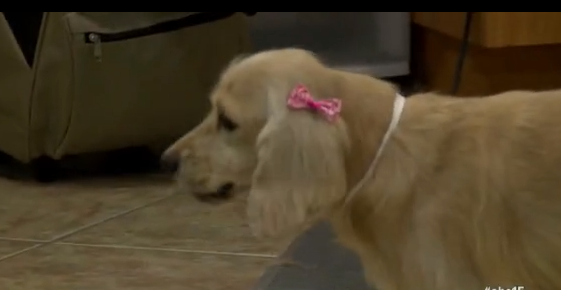 Screen-Shot-2014-11-04-at-3.31.34-PM.png