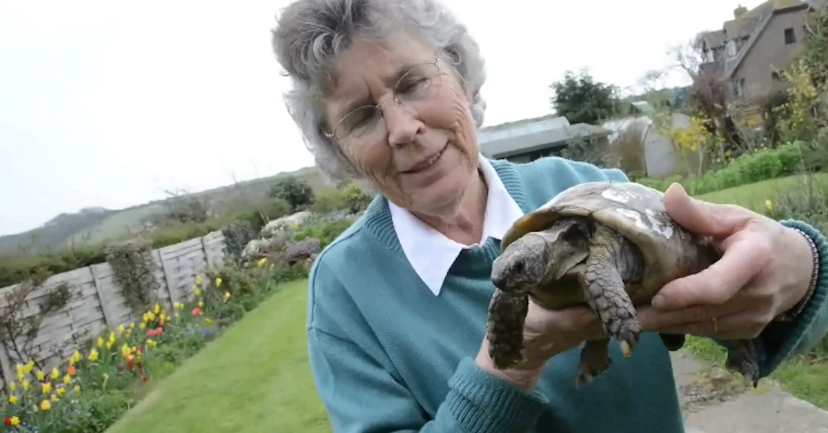 woman and tortoise reuinted